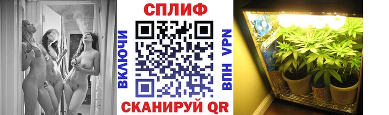 Каннабис семена  Туран 